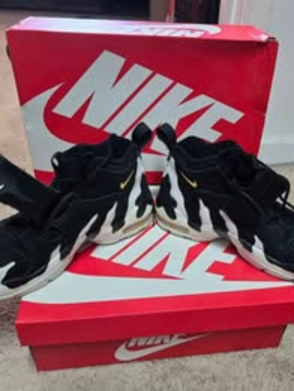 Men's Nike Air DT Max 96 Black and White Size 10.5 - WITH BOX